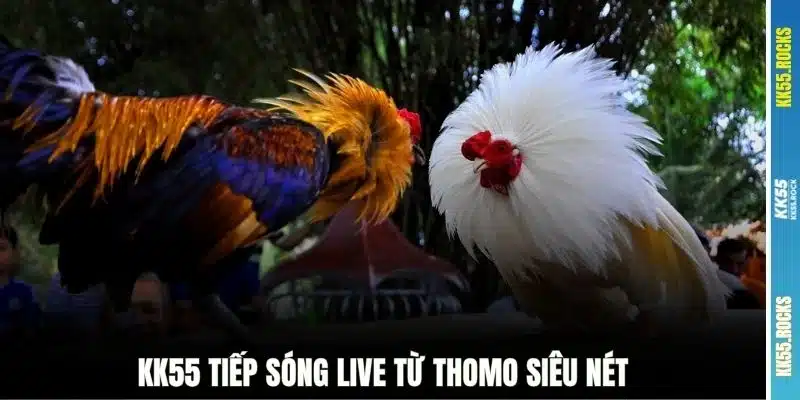 KK55 tiếp sóng live từ Thomo siêu nét